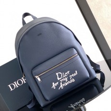 디올 DIOR 라이더 2.0 힐튼 넬 백팩 1ESBA199FRY DR1047